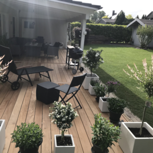 Garapa Terrassendielen preiswert kaufen