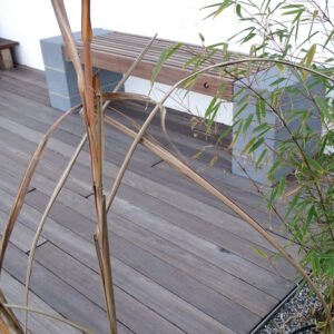 Guyana Teak Terrassendielen Holz online kaufen