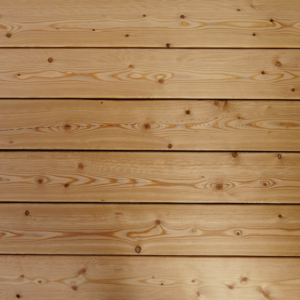 Kanadische Lärche Terrassendielen premium kaufen