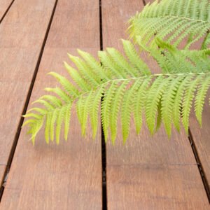 MOSO® Bambus Terrassendielen, Bamboo N-durance®, geölt mit Woca preiswert kaufen