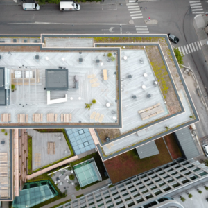 OrganoWood®-Nowa Terrassendielen Naturholz