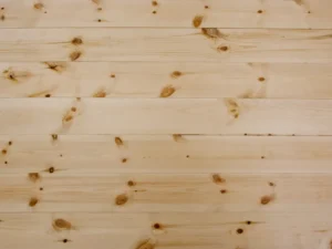 Kiefer Schlossdielen